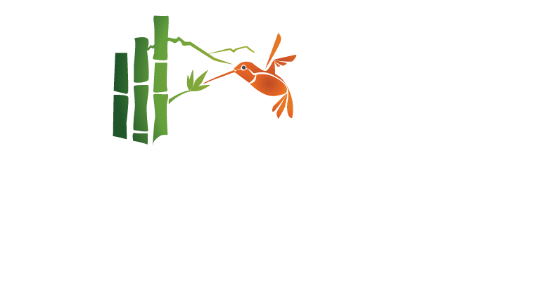 Terrabambu